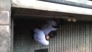 Asian Teen Porn: Chinese couple like to fuck in public-53766