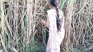 Bhai bahan ne kiya Jungle Mein Mangal – Free Asian teen sex