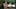 Ems002 Trainee Girlfriend-Hot Springs Journey – Free Asian teen xxx